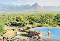  ?? ?? A pool with a view: spot wildlife from a distance at Sarara Camp