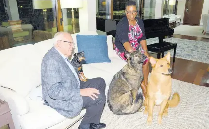  ??  ?? Ambassador Tapia’s best buddies and constant companions – his three beloved dogs, Higgie, Maya and Wackette that have travelled to Jamaica with him.