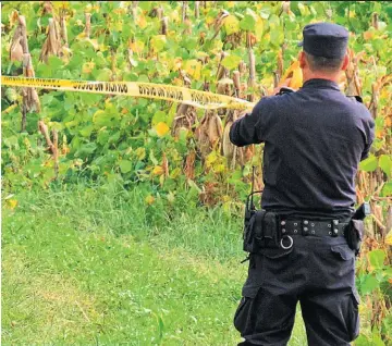  ??  ?? Zona desolada. El asesinato de Santos Díaz fue cometido cerca de las 5 de la mañana en una zona desolada del cantón San Antonio Arriba, de Santiago Nonualco, La Paz.