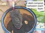  ??  ?? Add compost between each layer