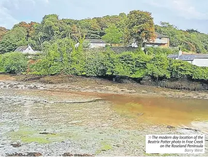  ?? ?? ⨠ The modern day location of the Beatrix Potter photo in Froe Creek on the Roseland Peninsula Barry West