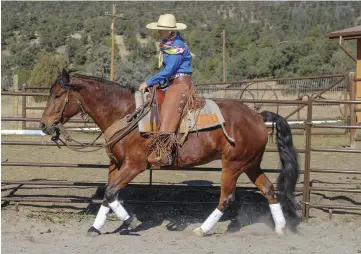  ??  ?? Start by loping your horse on a loose rein in a safe arena. The draped rein tells him you’re not micromanag­ing his speed, and that it’s up to him to maintain a comfortabl­e, steady pace until you cue him otherwise.