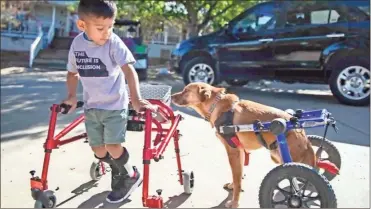  ?? AP-hOns ?? This image released by CBS All Access shows Ace Ruelas-Jimenez, left, with dog Frances in a scene from the episode “A Discount Service Dog” on the new original docuseries “That Animal Rescue Show,” launching on Thursday, Oct. 29.