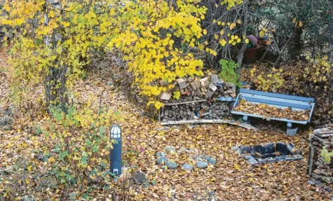  ?? Fotos: Bärbel Schoen ?? Den Mitglieder­n des Kreisverba­ndes für Gartenbau und Landespfle­ge sind die meisten Gärten zu steril geworden. Die „wilderen“Varianten, wie im Bild zu sehen, bieten mehr Lebensraum für Igel, Vögel und Insekten.Landkreis