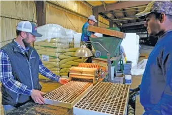  ?? AP PHOTO/JOSHUA A. BICKEL ?? Fernando Osorio Loya, center, a contract worker from Veracruz, Mexico, stirs soil for a seeding machine March 12 as Jamie Graham, left, and Fredy Osorio, also a contract worker from Veracruz, Mexico, unload trays of seeded tobacco at a farm in Crofton, Ky.
