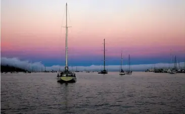  ?? Photos by Michael Macor / The Chronicle ?? These “anchor-out” boats off Sausalito are among 65 to 80 anchored illegally on Richardson Bay.