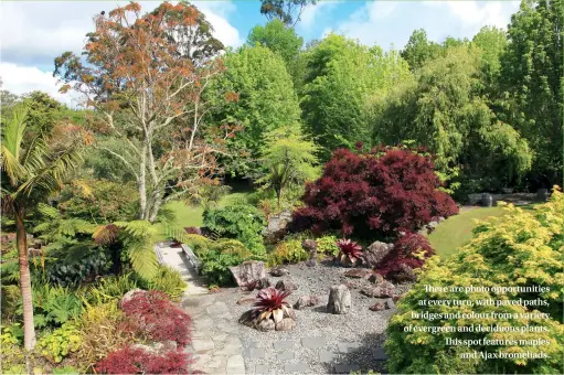  ??  ?? There are photo opportunit­ies at every turn, with paved paths, bridges and colour from a variety of evergreen and deciduous plants. This spot features maples and Ajax bromeliads.