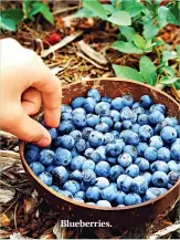  ??  ?? Blueberrie­s.