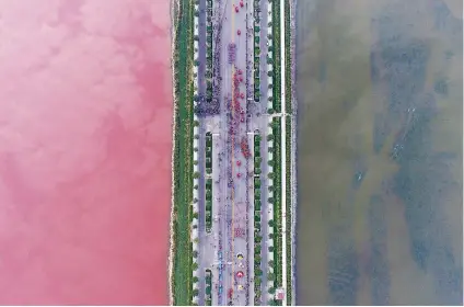  ?? Picture: Reuters ?? A salt lake separated by a road in Yuncheng, Shanxi Province, China reflects different colours this week due to algae.