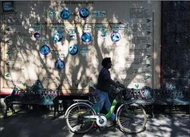  ?? ?? A visitor walks his bike past a mural that illustrate­s the family tree of Xin Xin.