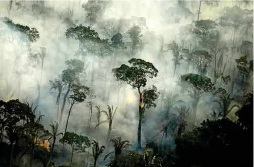  ?? File/reuters ?? Smoke billows from a fire in an area of the Amazon rainforest near Porto Velho, Rondonia State, Brazil.