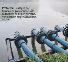  ?? / ISTOCK ?? Problema. Los lagos que tienen una gran afluencia de nutrientes de origen humano, ya tienen un oxígeno más bajo.