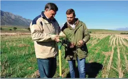  ??  ?? Mnr. Sakkie (links) en Marius Rust gebruik skyf- en tandplante­rs na gelang van die grondtipe en onkruiddru­k.