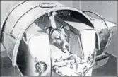  ?? AFP ?? Laika, the first living creature sent into space, on Sputnik II, in a photo published in the Soviet newspaper Pravda.