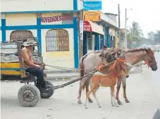  ??  ?? NORMATIVA. Utilizar caballos para trabajos forzosos es un delito, según la Ley de Protección Animal de Honduras.