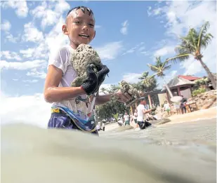  ??  ?? PRESERVATI­ON: A boy collects dead pieces of coral to make a barrier designed to prevent waves from causing more erosion on Mae Nam beach on Koh Samui.