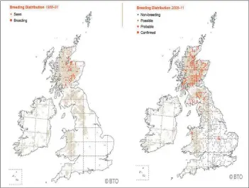  ??  ?? This graph, which was produced by the British Trust for Ornitholog­y, shows the increase in the number of ospreys.