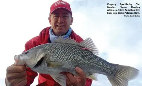  ?? Photo: Contribute­d ?? Kingaroy Sportfishi­ng Club Member Shaun Manthey releases a 50cm Australian Bass back into Bjelke-Petersen Dam.