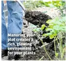  ??  ?? Manuring your plot creates a rich, glowing environmen­t for your plants