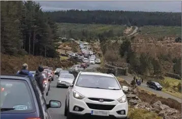  ??  ?? Chaotic scenes at the Sally Gap.