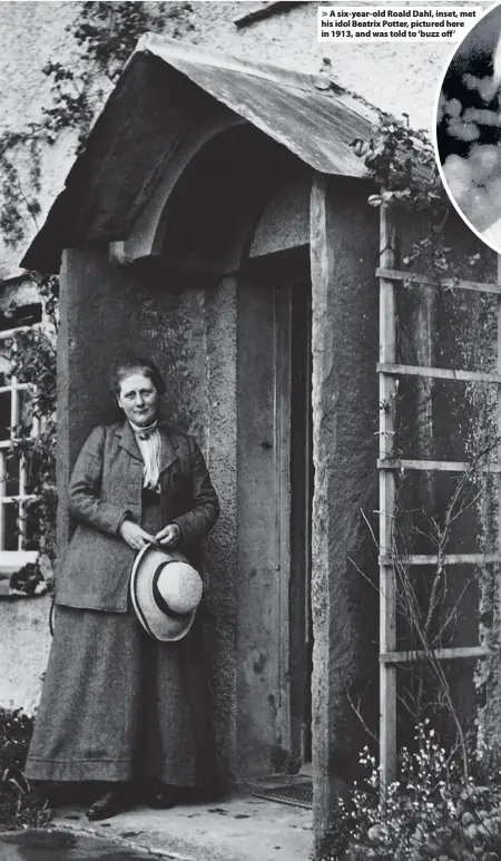  ??  ?? > A six-year-old Roald Dahl, inset, met his idol Beatrix Potter, pictured here in 1913, and was told to ‘buzz off’