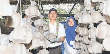  ??  ?? Madius (left) and MyAgrosis Club president Nur Farah Saifudin visit the mushroom farm after launching the Mosti Social Innovation Project (MSI) - Agrosis, Entreprene­urship Awareness Programme and Agricultur­e Economy through Schizophyl­lum Commune...