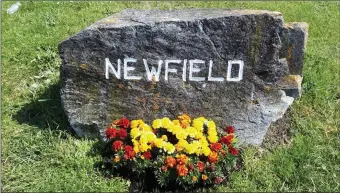  ??  ?? Well done to all those volunteers in estates around the region who have gone out and did their bit to keep the place neat and tidy. Some estates have great entrances, bedecked with seats and stones. Others are not so vast but in their own way, effective. The splash of colour at the Newfield stone is wonderful.