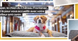  ?? ?? Jasper, le chien du Château Frontenac, est là pour vous accueillir avec votre meilleur ami canin.