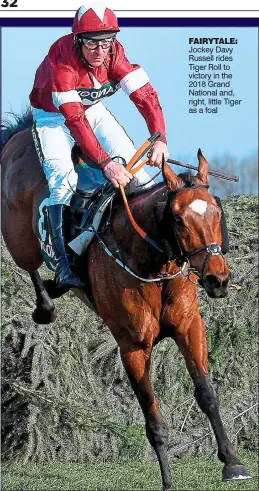  ?? ?? fairytale: Jockey Davy Russell rides Tiger Roll to victory in the 2018 Grand National and, right, little Tiger as a foal