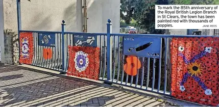  ?? JANE REES ?? To mark the 85th anniversar­y of the Royal British Legion Branch in St Clears, the town has been painted red with thousands of poppies.