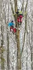  ?? Foto: Farkaschov­sky ?? Kletterer des Landesbund­es für Vogelschut­z haben die zwei Kunsthorst­e im Staatswald montiert. Der erste Erfolg ließ nicht lange auf sich warten. Eines der Nester wurde schon vom Schwarzsto­rch in Besitz genommen.