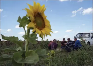  ?? (AP/Leo Correa) ?? Farmworker­s pause for lunch during the sunflowers harvesting on a field in the Donetsk region of eastern Ukraine in mid-September.