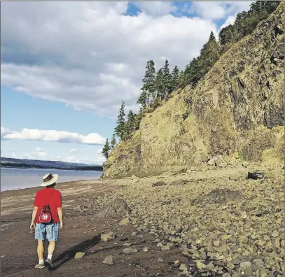  ?? JONATHAN RILEy/TRURO DAILy NEWS ?? Walking along the shore of Moose Island, the biggest of the Five Islands, you can enjoy some spectacula­r scenery.