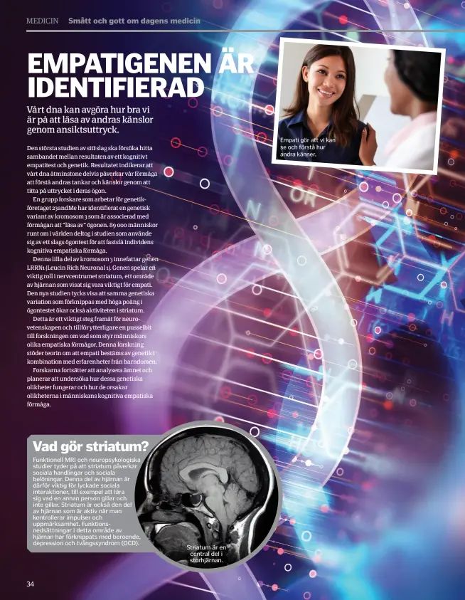  ??  ?? Striatum är en central del i storhjärna­n. Empati gör att vi kan se och förstå hur andra känner.