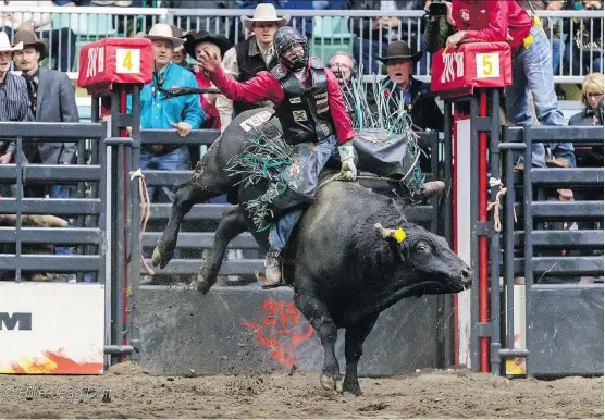  ?? BILLIE-JEAN DUFF ?? Wacey Finkbeiner of Ponoka, Alta., shows the form that enabled him to win the bull riding portion of the Canadian Finals Rodeo on the weekend in Red Deer.