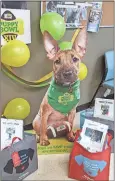  ?? Contribute­d Photo ?? Polk County Animal Control participat­es in the recent Puppy Bowl event.