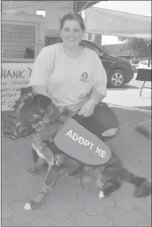  ??  ?? Shelter animals that are available for adoption were present at the Swift Current SPCA Radiothon location on Market Square, Aug. 28. Pictured is canine kennel attendant Samantha Giroux with Nevada, a Catahoula Leopard Dog and Collie cross.