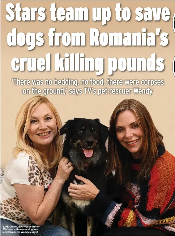  ?? Picture: STEVE FINN ?? LIFE-CHANGER: Wendy Turner Webster with rescue dog Newt and Samantha Womack, right