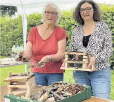  ??  ?? Encouragin­g nature Kay Seal from the local Climate Cafe, left, and Lesley McDonald from Proactive Communitie­s with some of the bug hotels that were created