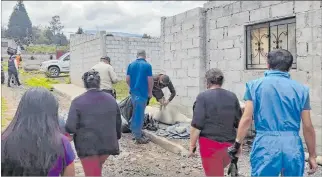  ?? CORTESÍA ?? Procedimie­nto. El Personal de la Unidad de Bienestar Animal hace el levantamie­nto de los cadáveres caninos.