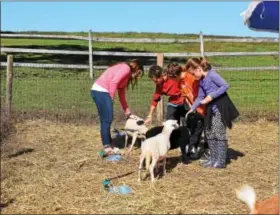  ?? PHOTOS BY MARIAN DENNIS – DIGITAL FIRST MEDIA ?? The petting zoo at the Red Corner Benefit Saturday attracted quite a crowd. Guests flocked to the pens to interact with goats and other animals that were there to visit.