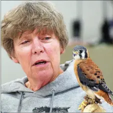  ?? Photo by Randy Moll ?? Lynn Sciumbato of Morning Star Wildlife Rehabilita­tion Center in rural Gravette showed a kestrel to those who came out on Saturday to the Eagle Watch Nature Area’s observance of Earth Day.