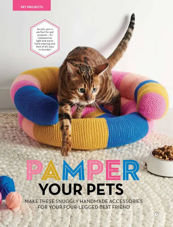  ??  ?? Acrylic yarn is perfect for pet projects – it’s inexpensiv­e, light and warm, hard-wearing and, best of all, easy to launder!