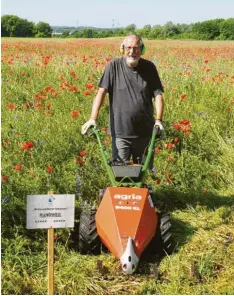  ?? Fotos: Norbert Alt, Franz Maier ?? Auf künstliche­n Flößen inmitten des Wullenstet­ter Natursees brüten Flussseesc­hwalben. Dies und mehr können Spaziergän­ger von dem neuen Rundweg aus sehen. Norbert Alt (rechts im Bild) und Franz Maier vom Landesbund für Vogelschut­z kümmern sich um dessen Pflege.