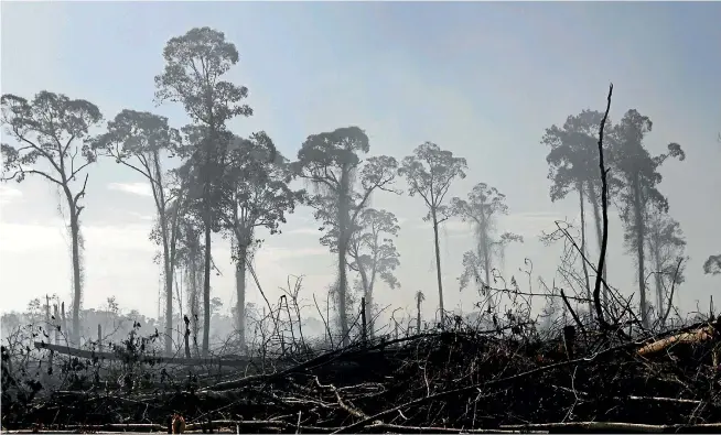  ?? PHOTO: GETTY IMAGES ?? Only a few blackened canopy trees remain after this jungle was cleared to plant oil palm trees in Rawa Singkil WIldlife Reserve, in Aceh, Indonesia.