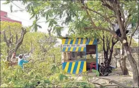  ?? BACHCHAN KUMAR ?? Workers trim trees at Arenja Corner in Vashi on Thursday.