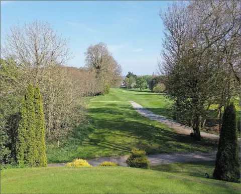  ?? Pictures: Ken Finegan ?? Trees on both sides means there’s little margin for error with your tee shot at Ardee’s 18th hole.