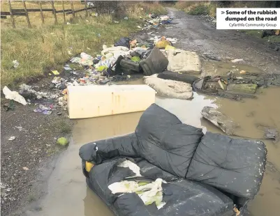  ?? Cyfarthfa Community Group ?? Some of the rubbish dumped on the road