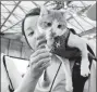  ??  ?? A cat lies on its owner’s shoulder and eats cat snack at the 21st Pet Fair Asia. This exhibition attracts more than 1,300 companies from around the world to exhibit more than 16,000 brands of pet products.