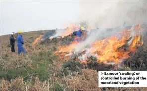  ??  ?? Exmoor ‘swaling’, or controlled burning of the moorland vegetation